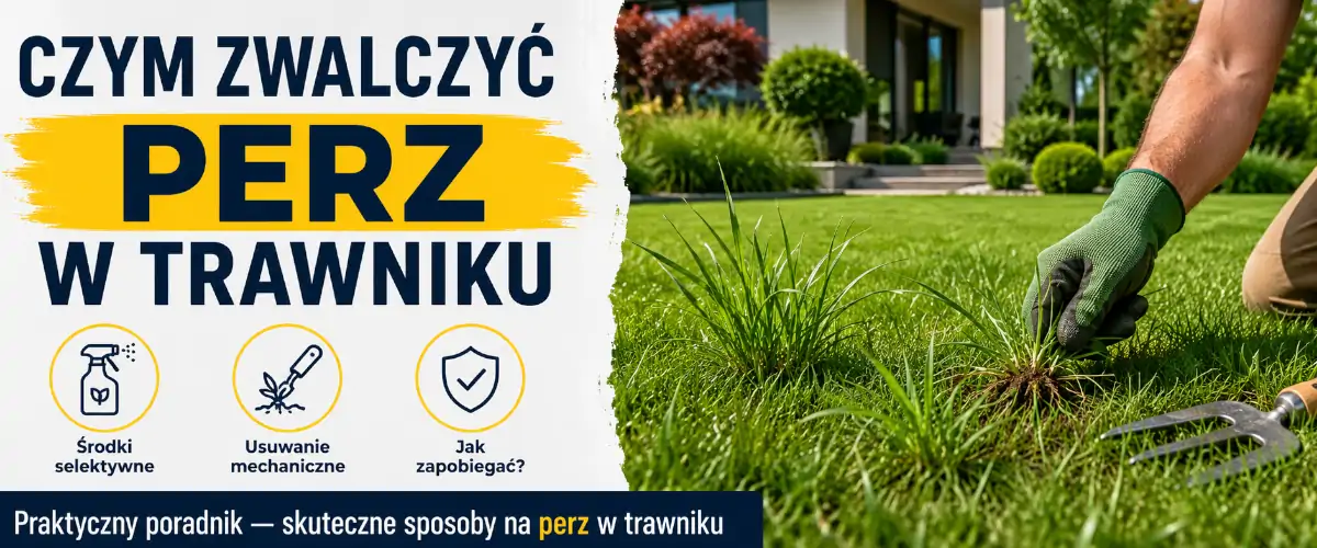 Czym zwalczyć perz w trawniku - skuteczne metody