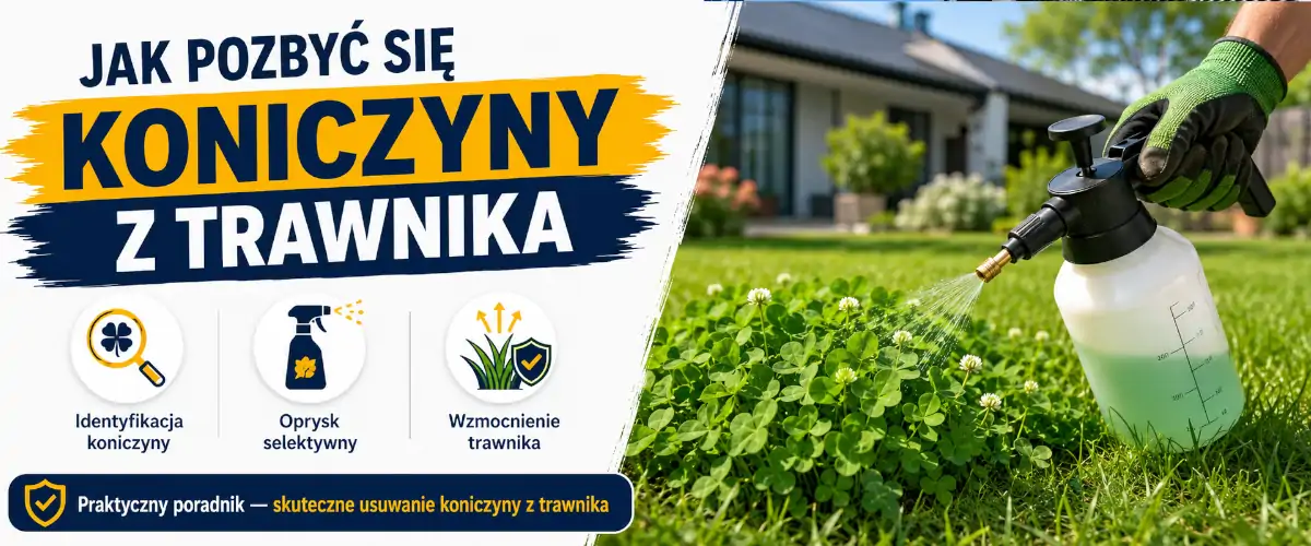 Jak pozbyć się koniczyny z trawnika krok po kroku
