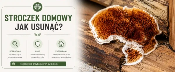Stroczek domowy jak usunąć? Skuteczne metody krok po kroku