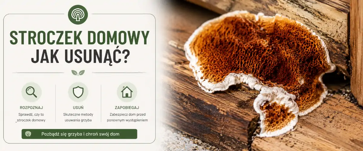 Stroczek domowy jak usunąć? Skuteczne metody krok po kroku