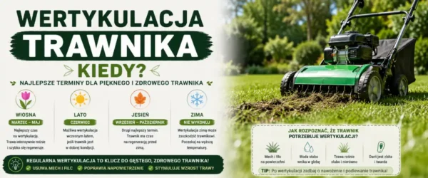 Wertykulacja trawnika kiedy? Sprawdź najlepszy termin