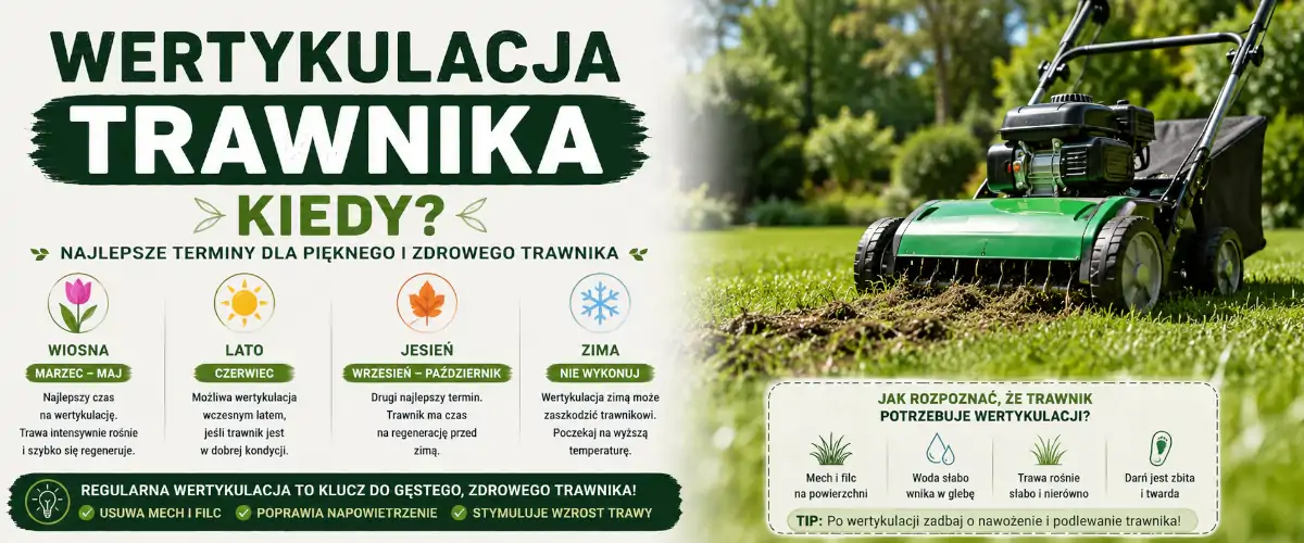 Wertykulacja trawnika kiedy? Sprawdź najlepszy termin