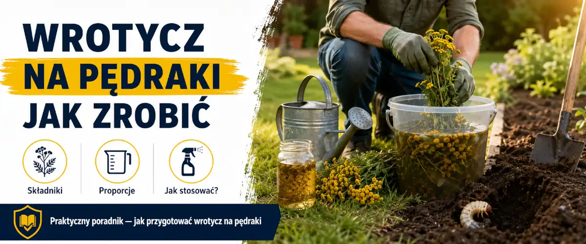 Wrotycz na pędraki jak zrobić - przepis i podlewanie