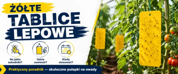 Żółte tablice lepowe: jak i kiedy stosować