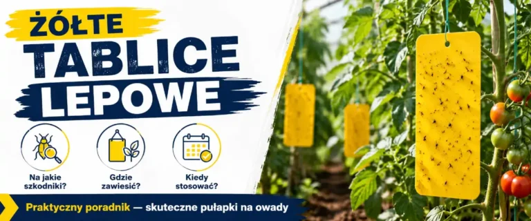 Żółte tablice lepowe: jak i kiedy stosować