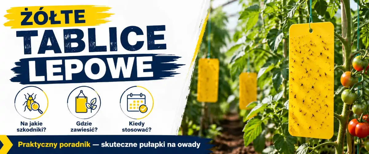 Żółte tablice lepowe: jak i kiedy stosować